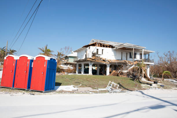 Best Emergency Tree Removal  in USA